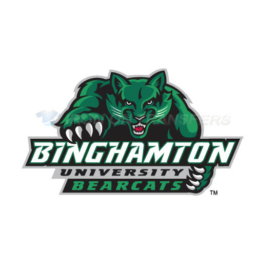 Binghamton Bearcats 2001 Pres Alternate Iron-on Stickers (Heat Transfers)NO.4003
